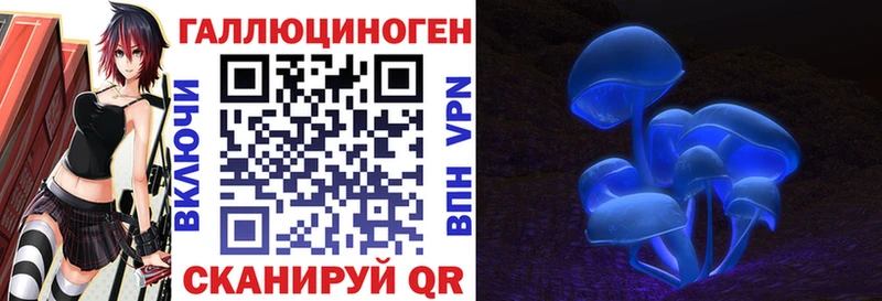 mega сайт  магазин    Волчанск  Псилоцибиновые грибы мицелий 